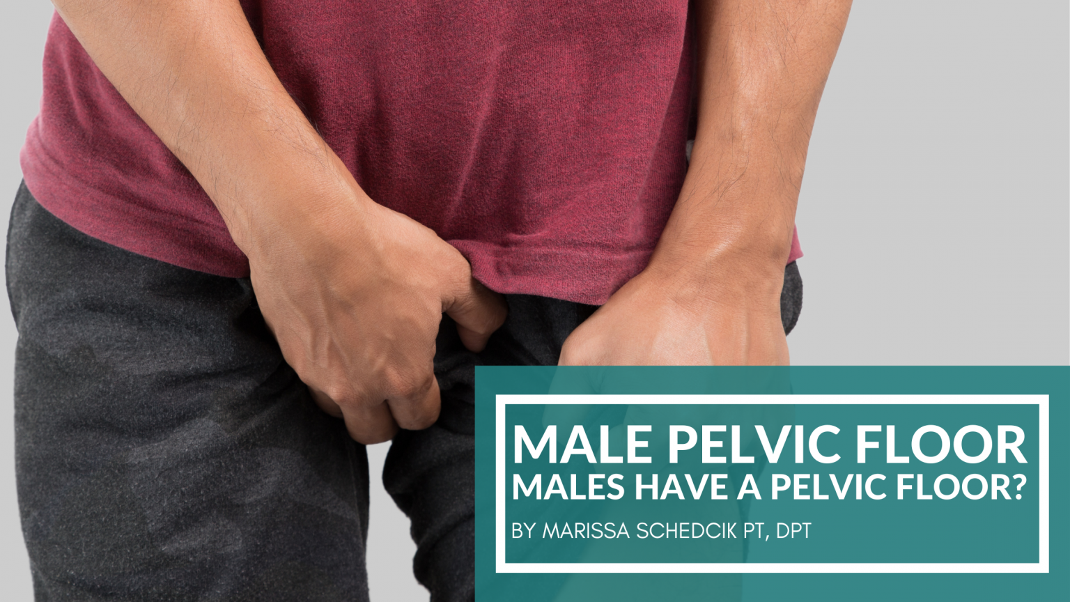 Male Pelvic FloorMales Have a Pelvic Floor? Woerner Physical Therapy